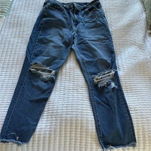 American Eagle Mom Jean